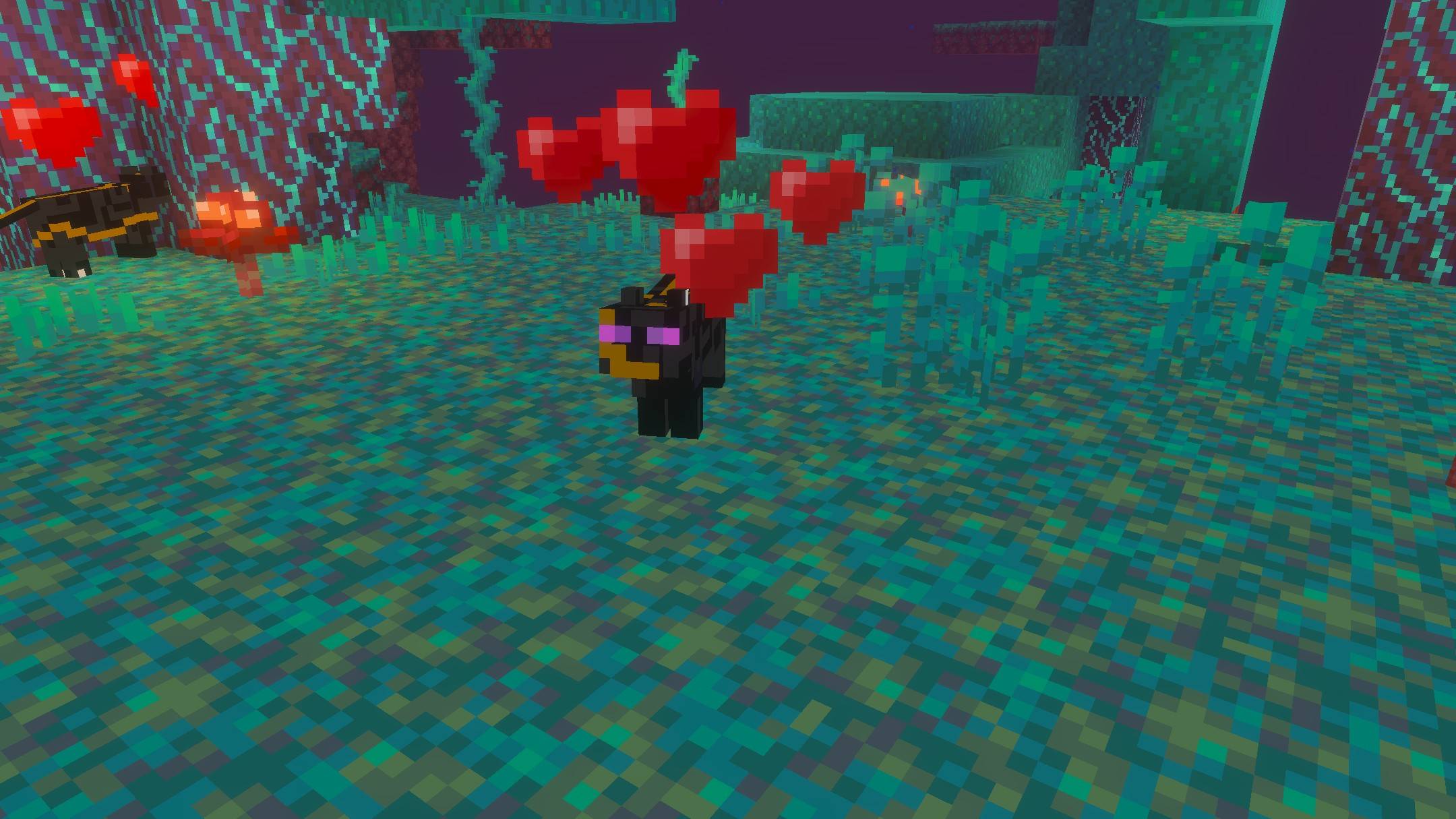 THECatCRAFTER — screenshot 2