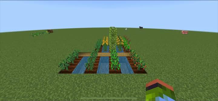 Farm Viet — screenshot 3