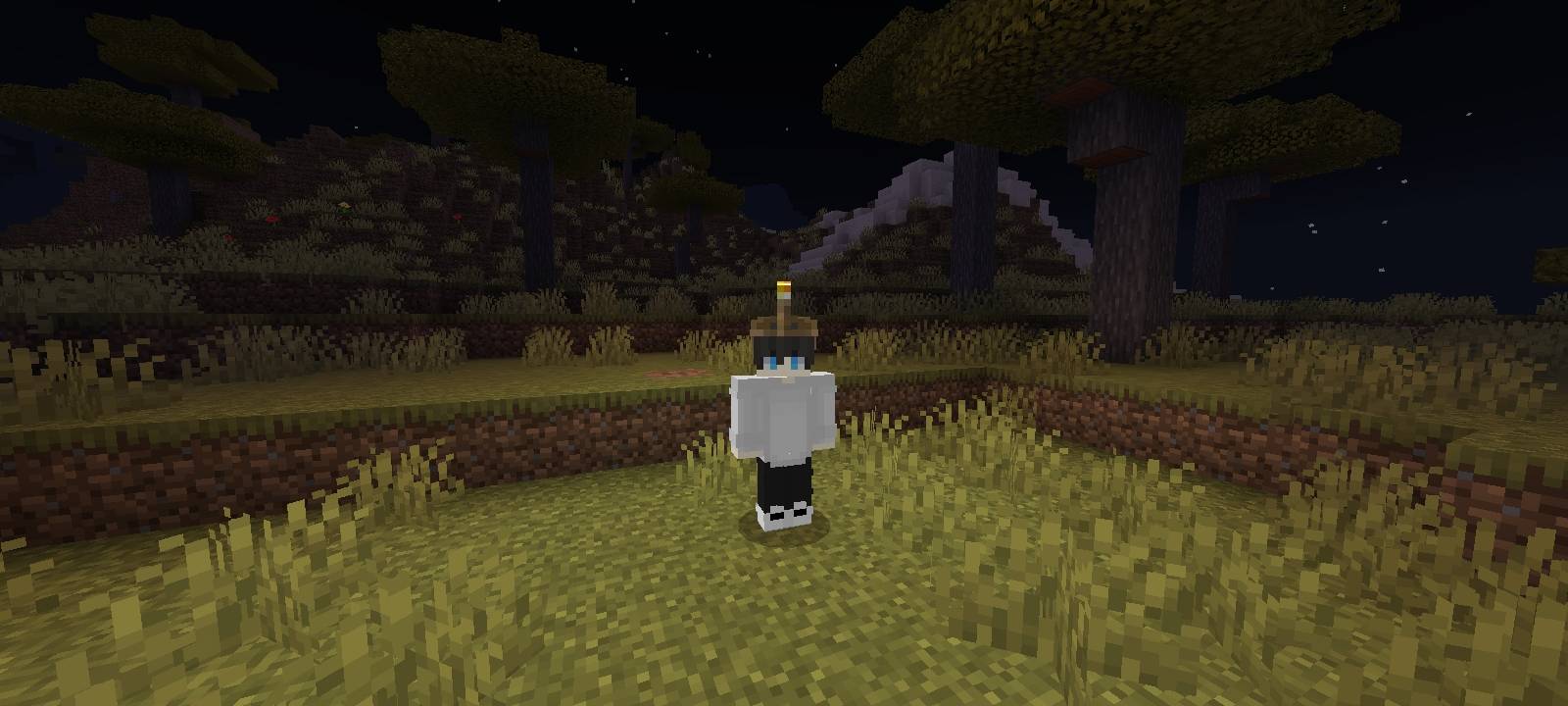 Ultra Dynamic Light + Offhand  [ Achivement friendly ] — screenshot 4