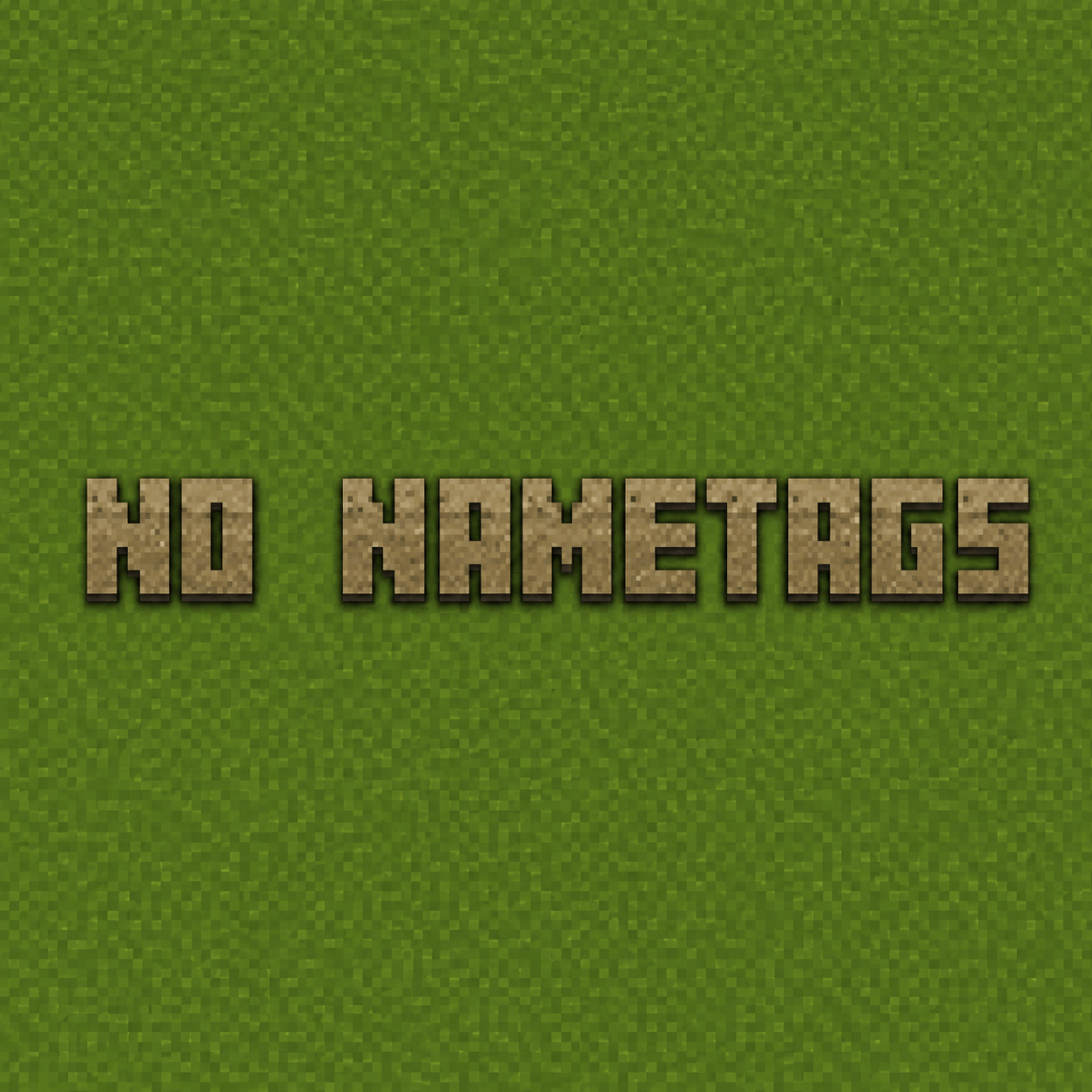 No Nametags — screenshot 1