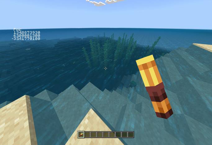 Force Show Coordinates — screenshot 1