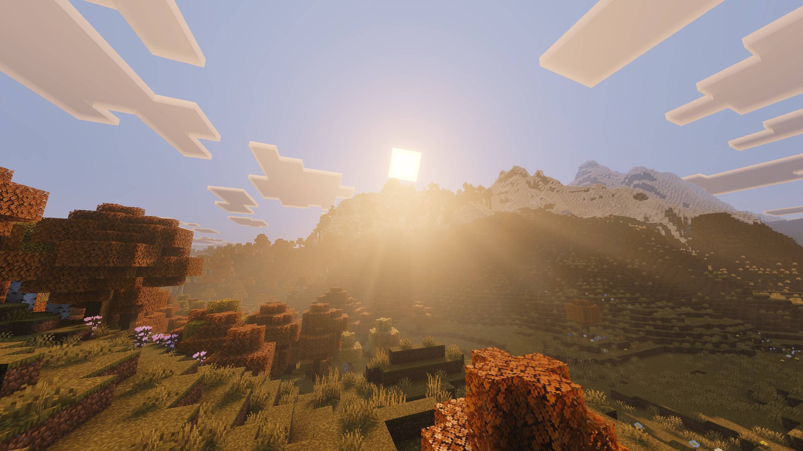 Pumpkin Spice Visuals — screenshot 2