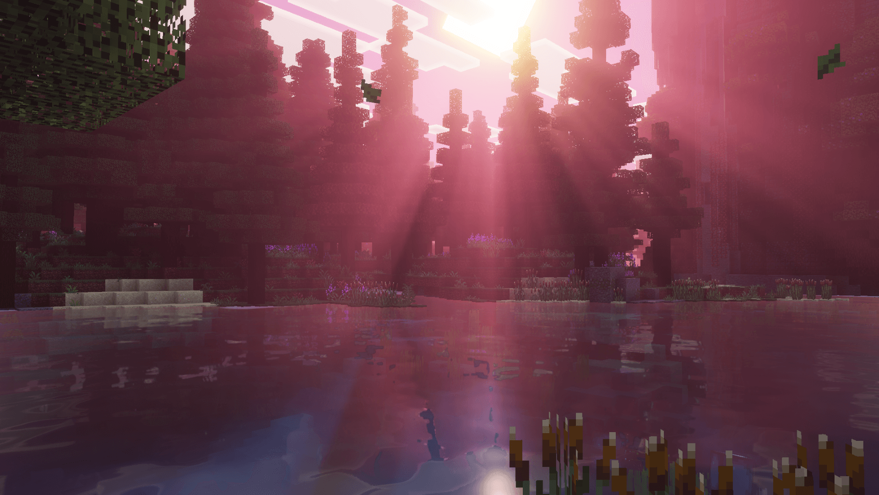 Xiao Sakura Visuals — screenshot 2