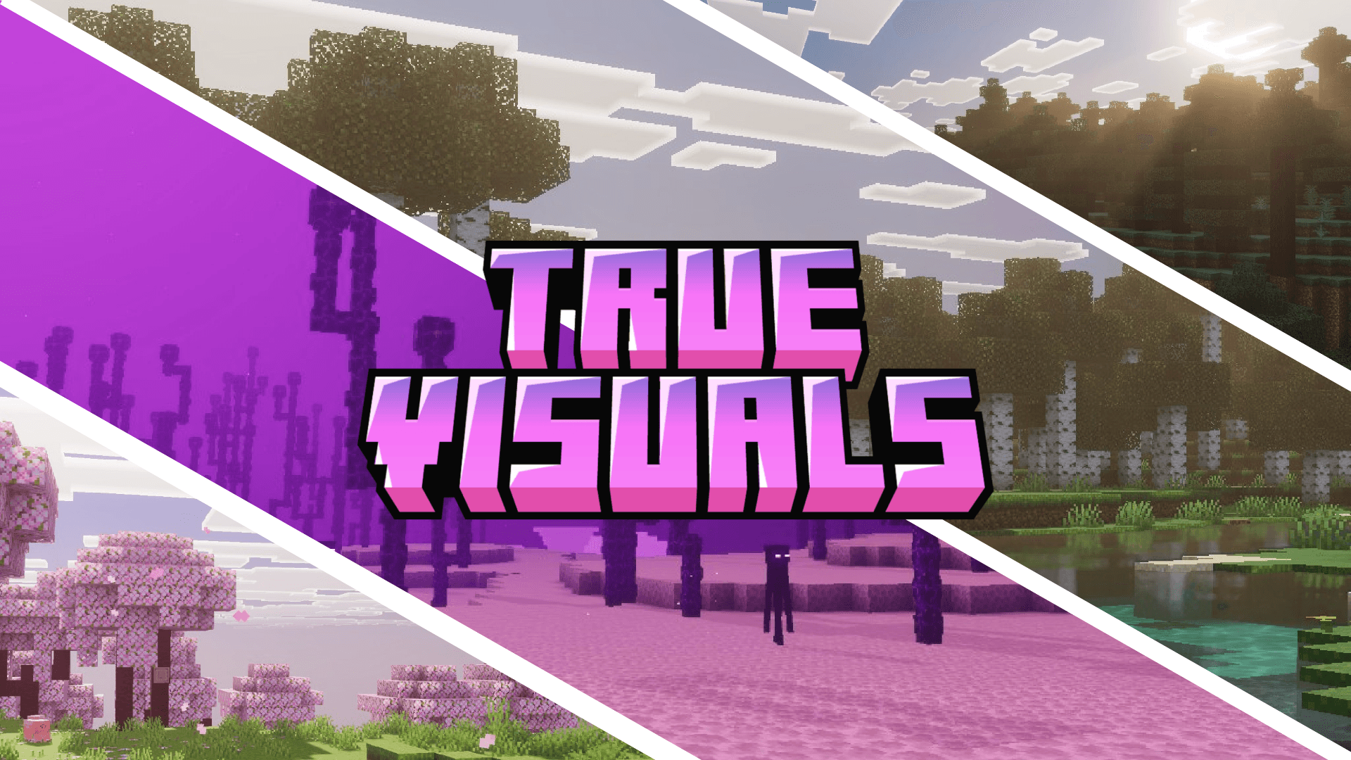 True Visuals — screenshot 1