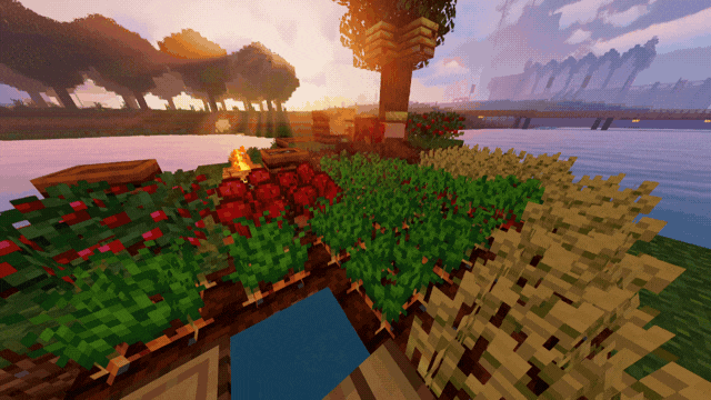 Ready Crop + — screenshot 1