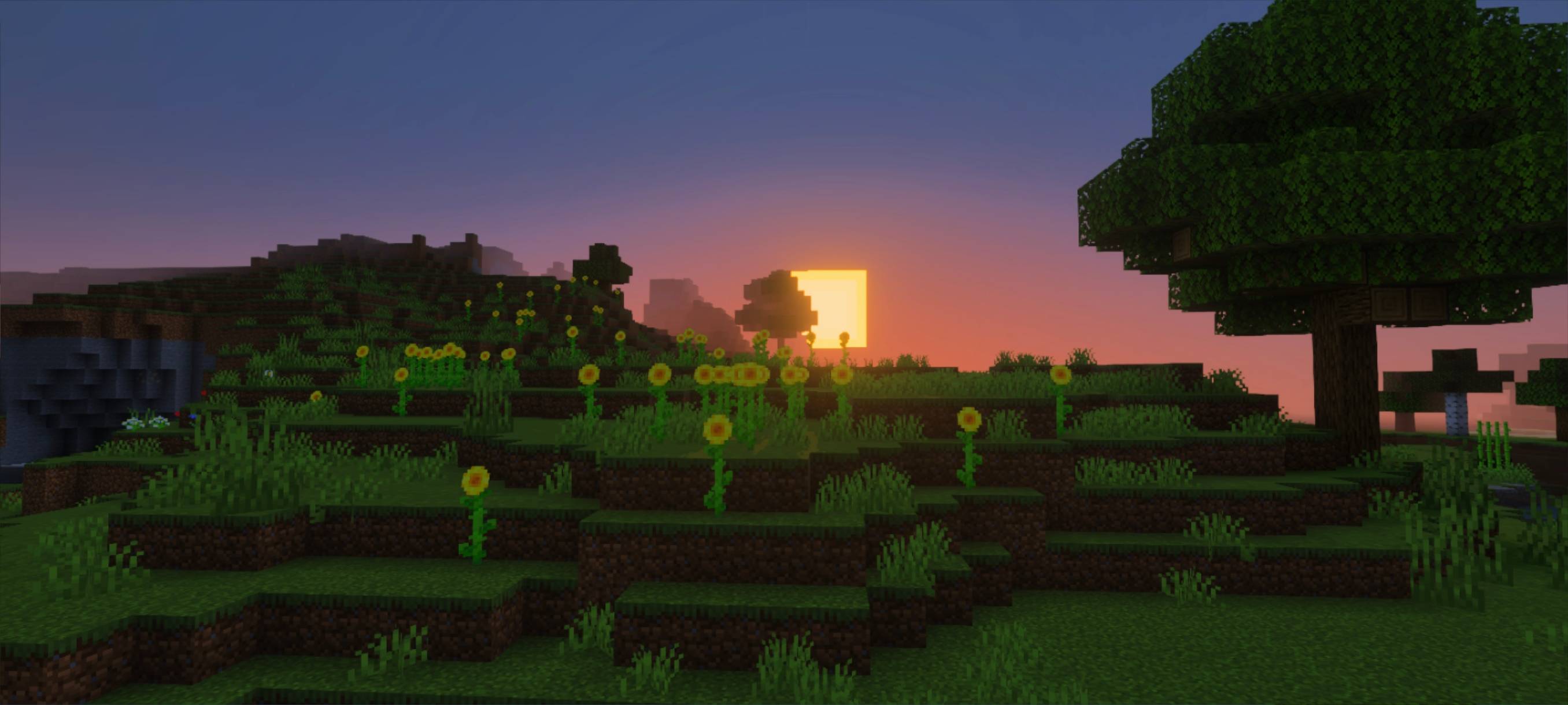 DYNAMIC VIEW — screenshot 8