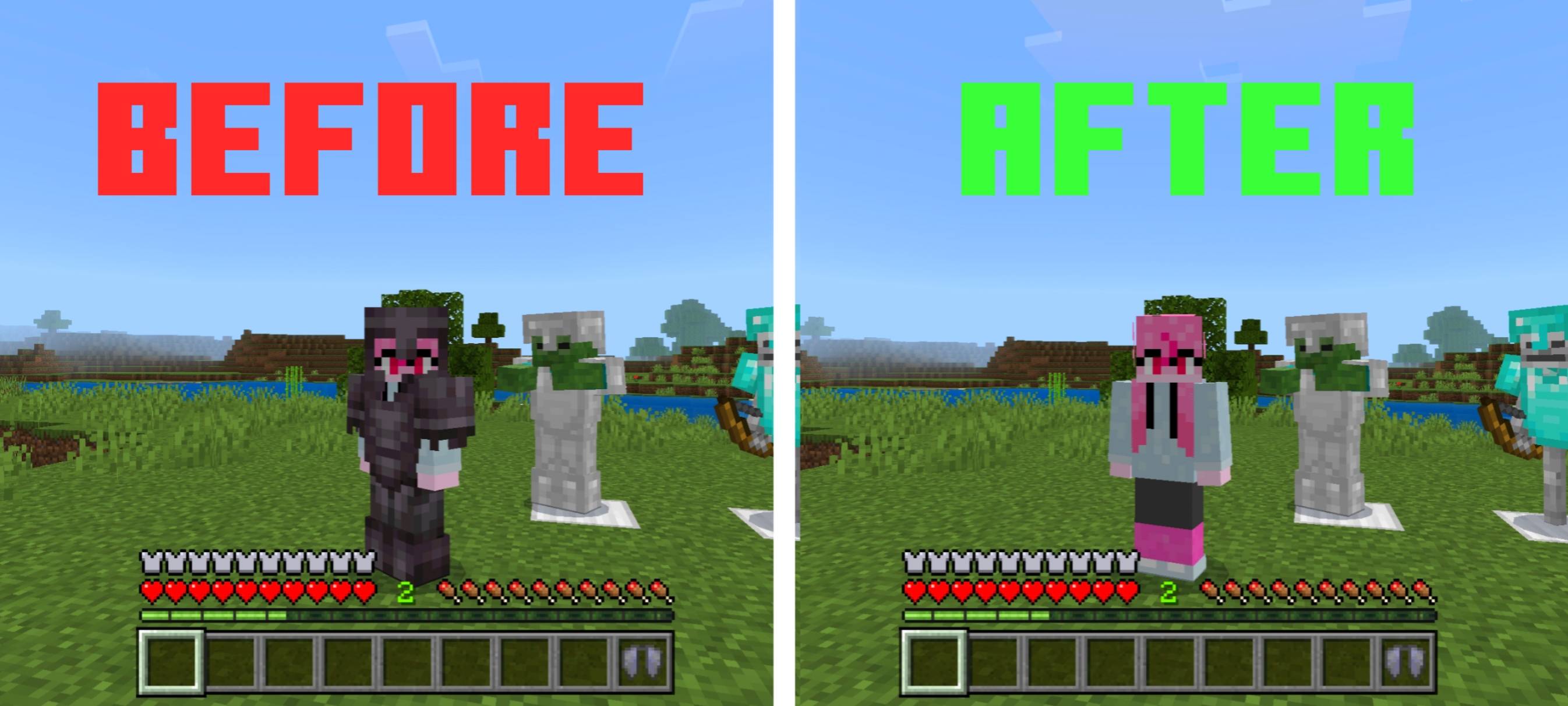 Hide Player Armor — screenshot 1
