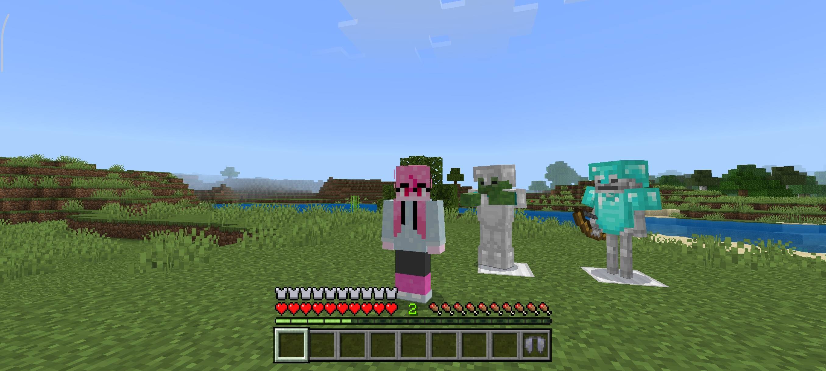 Hide Player Armor — screenshot 2
