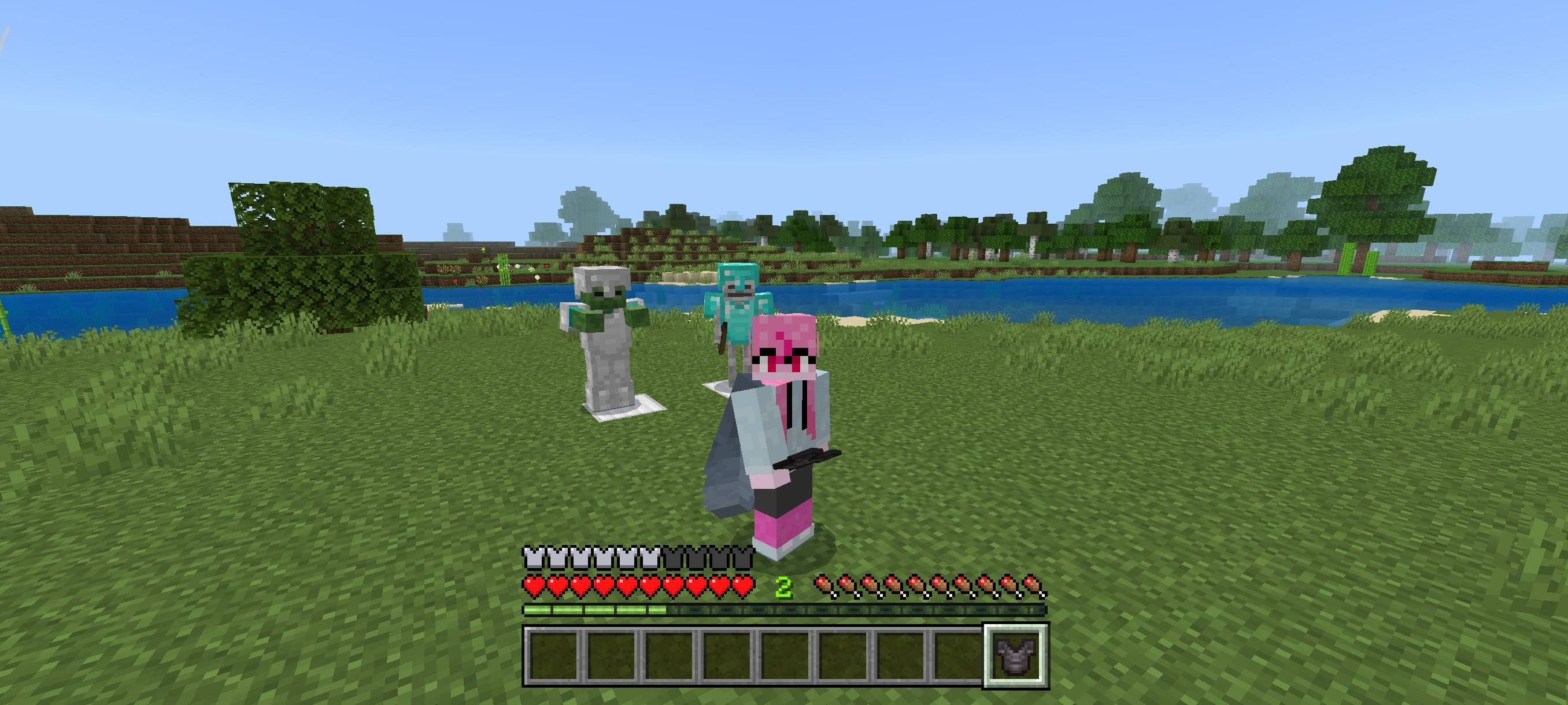 Hide Player Armor — screenshot 4