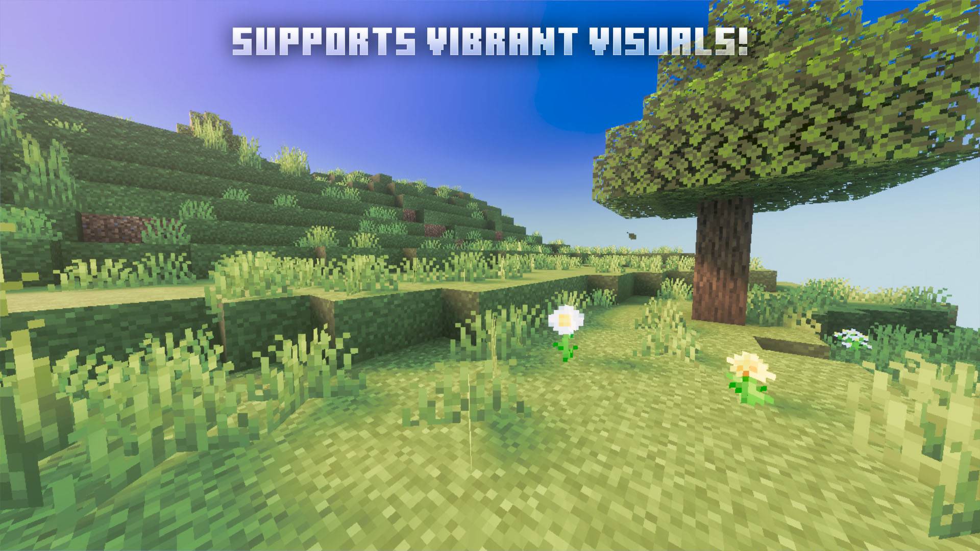 PandaMine's Enhanced Grass | Full Grass + Optifine Grass + Low Grass | Fast Better Grass — screenshot 2