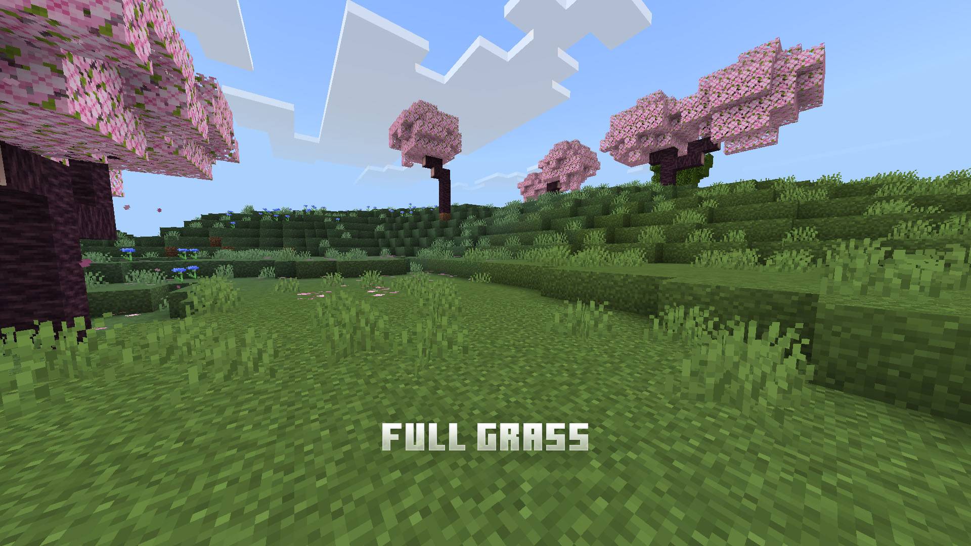 PandaMine's Enhanced Grass | Full Grass + Optifine Grass + Low Grass | Fast Better Grass — screenshot 5