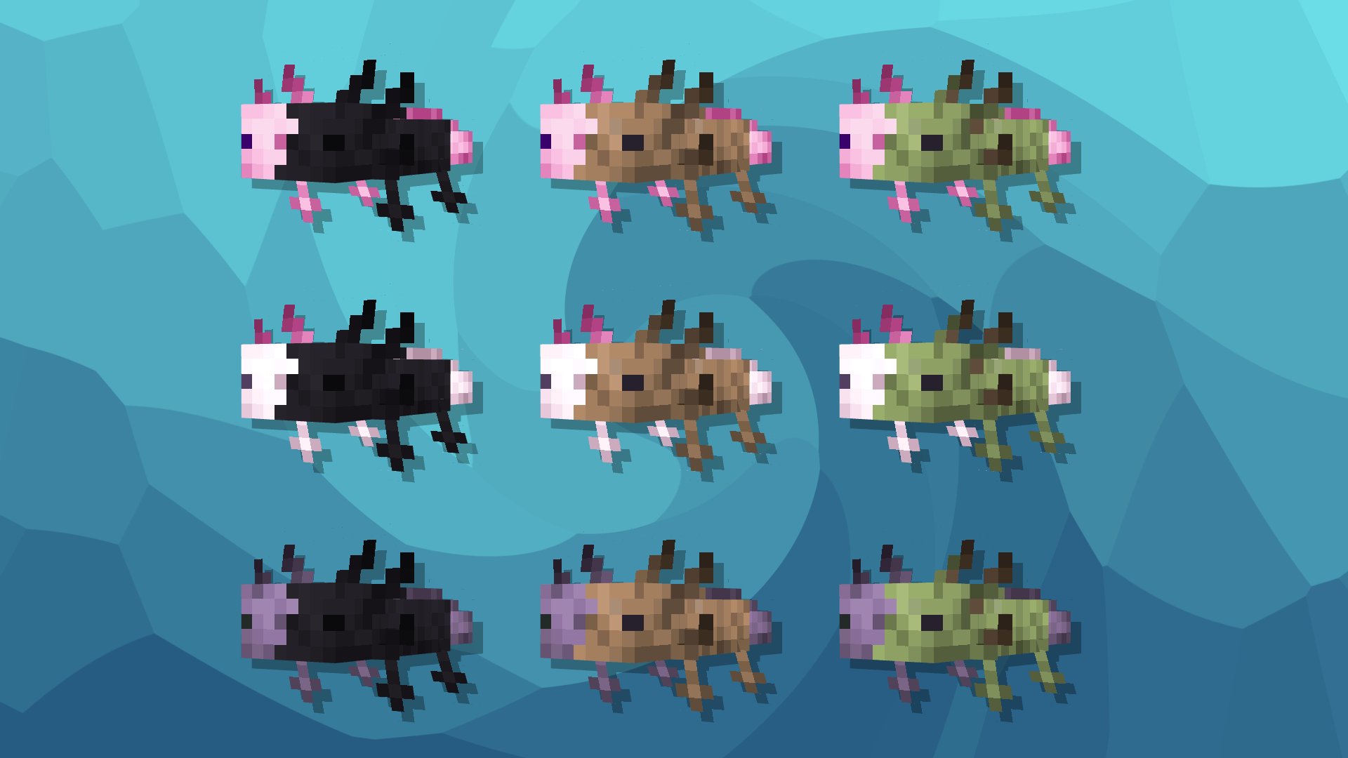 Amazing Axolotls — screenshot 4