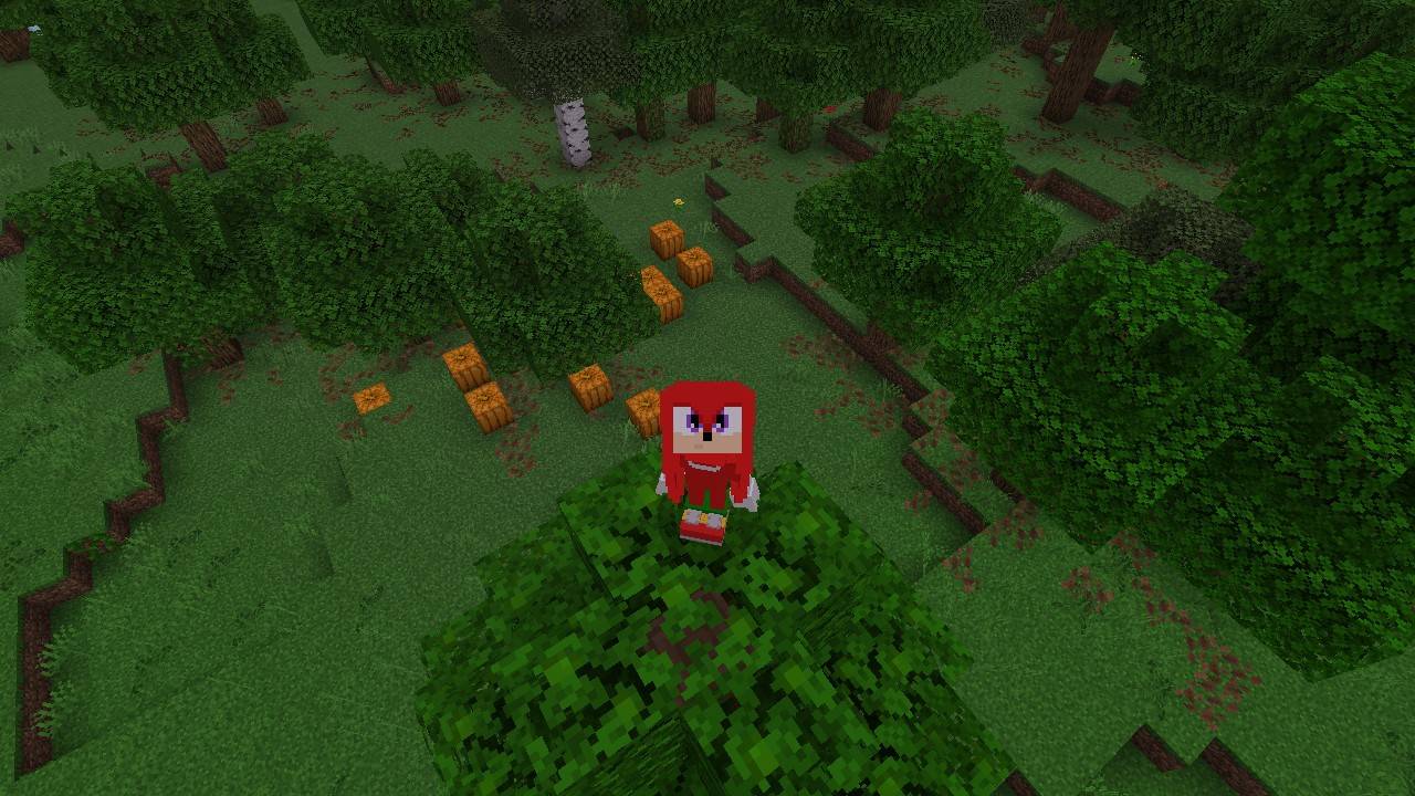 Knuckles the Echidna 4d skin — screenshot 2