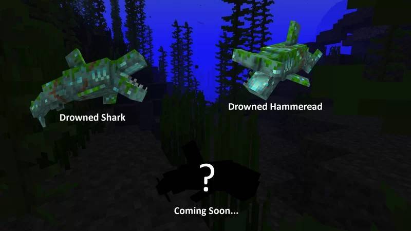 Sharks Plus — screenshot 5