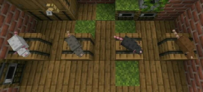 Silver Rats — screenshot 3