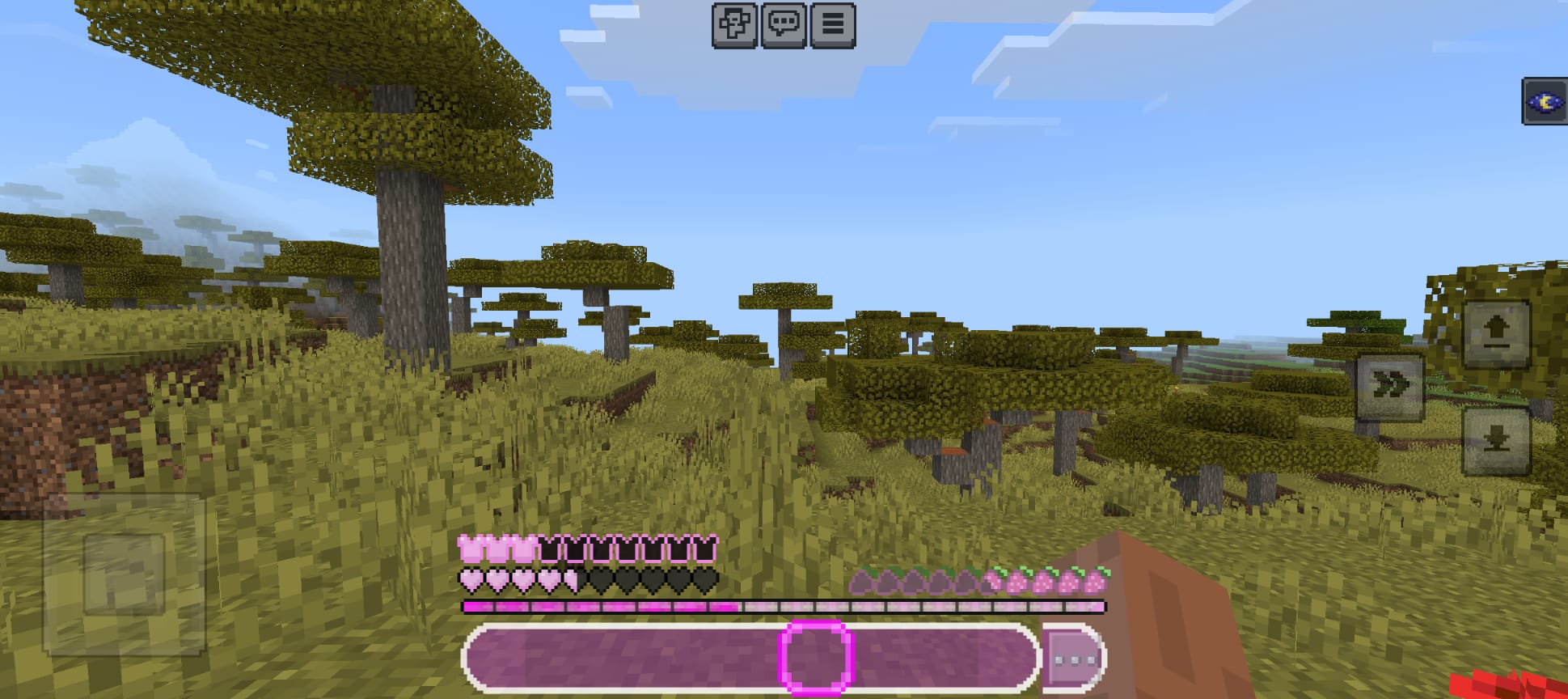 Lionkracher's Pink Hotbar — screenshot 2