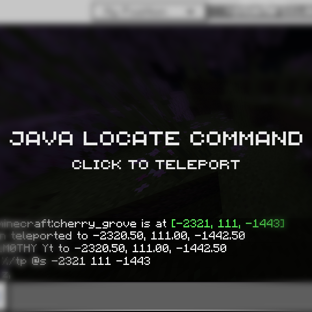 Java Locate Command