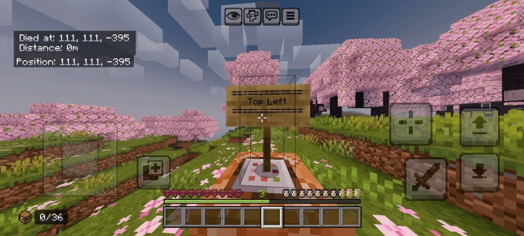 Death Coordinate — screenshot 2