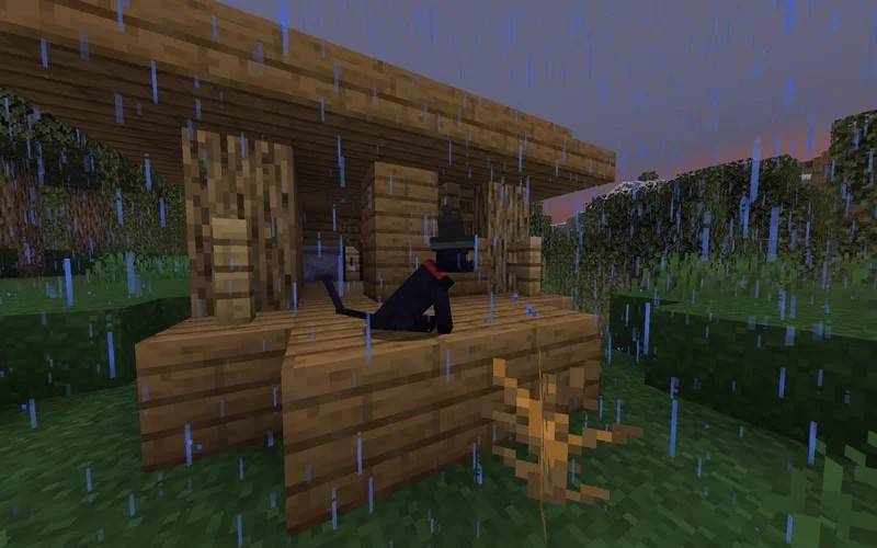 Black Cat With Witch Hat — screenshot 3