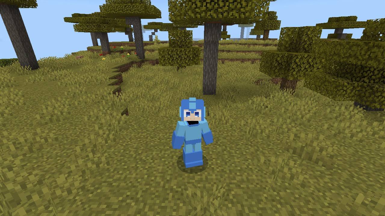 Megaman 4d Skin — screenshot 1