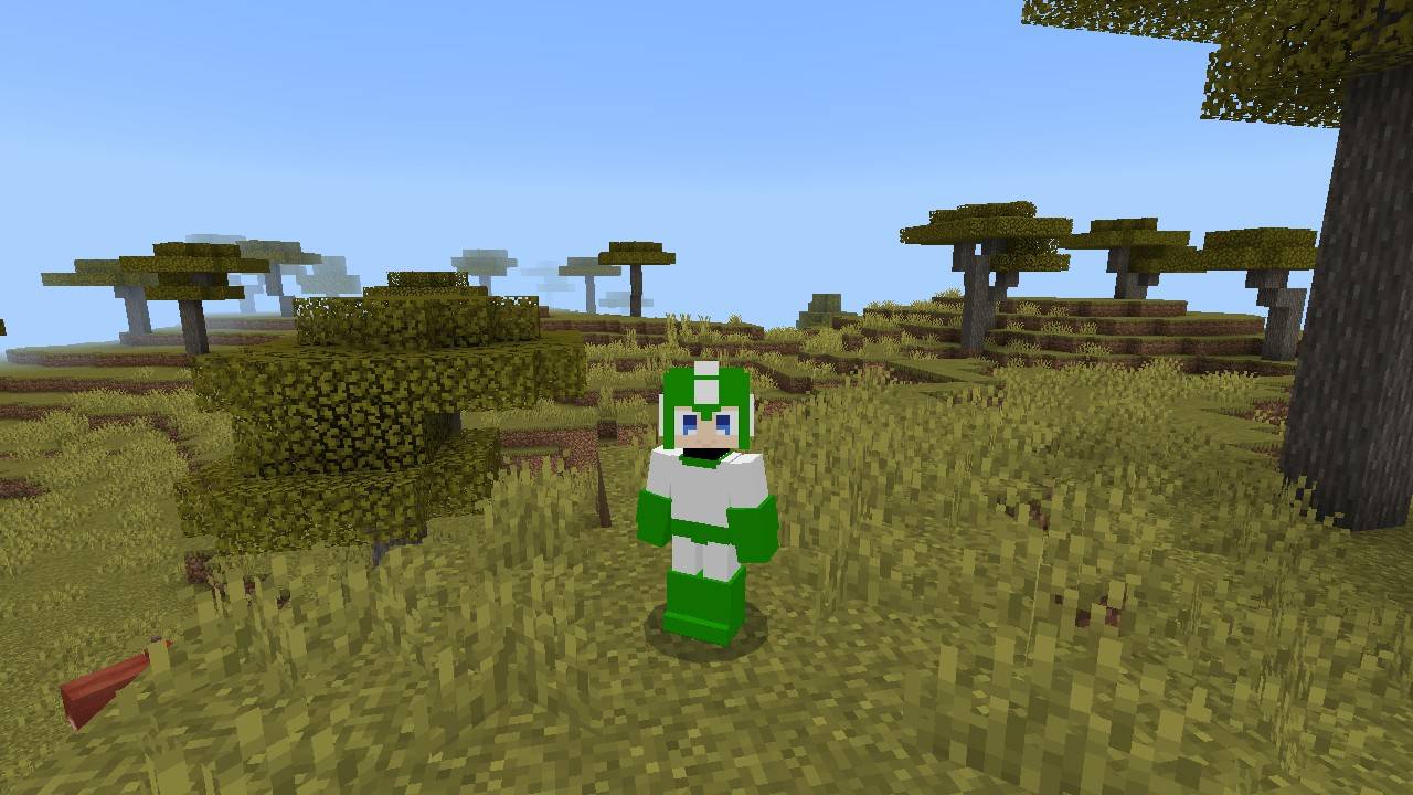 Megaman 4d Skin — screenshot 4