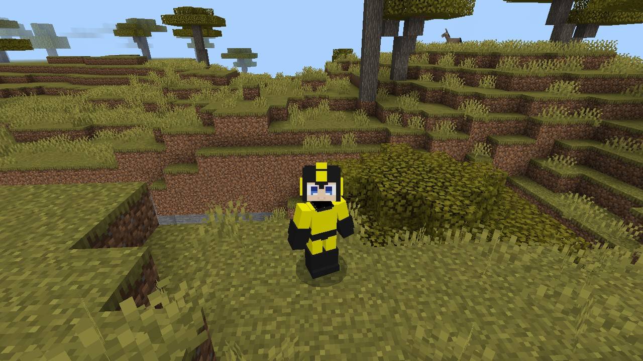 Megaman 4d Skin — screenshot 5