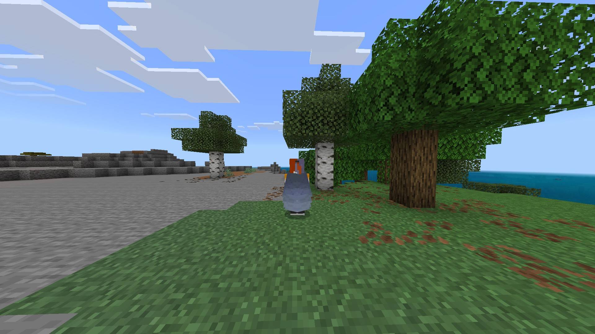 Hide All Armor (Except Elytra) — screenshot 1