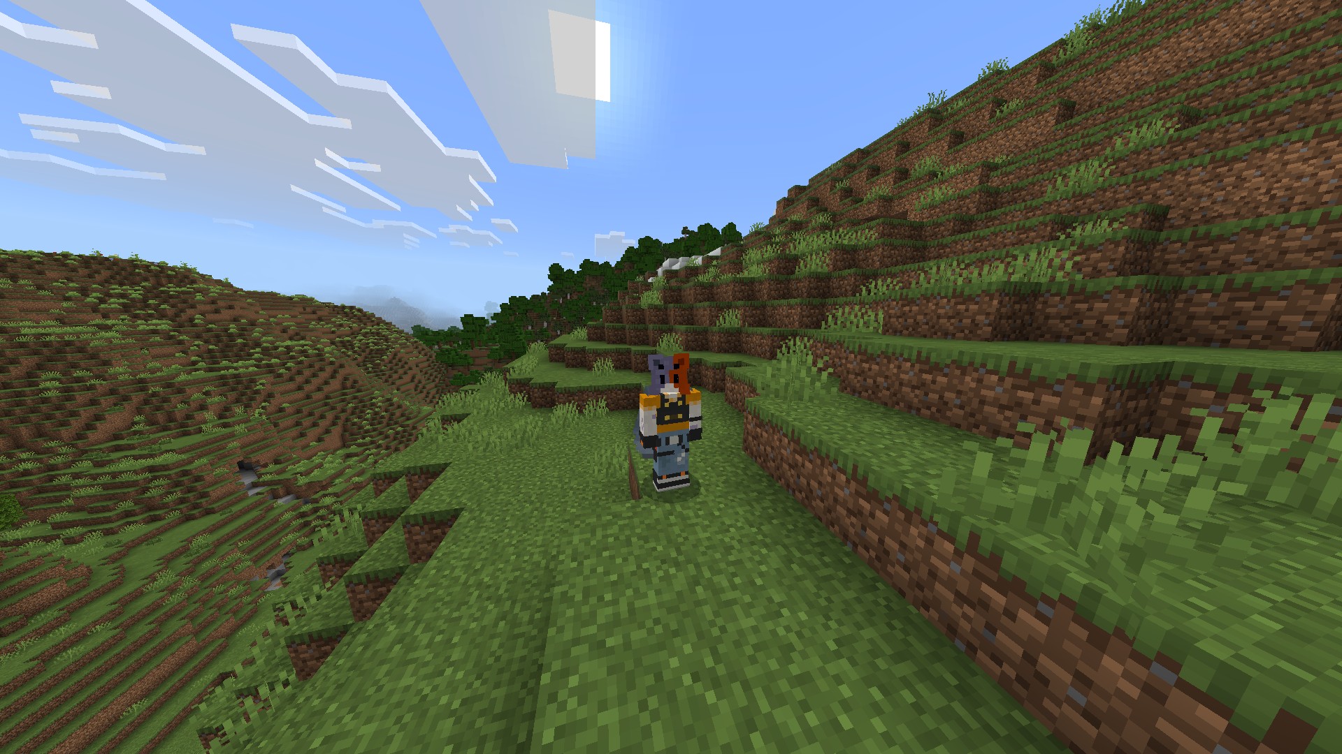 Hide All Armor (Except Elytra) — screenshot 3