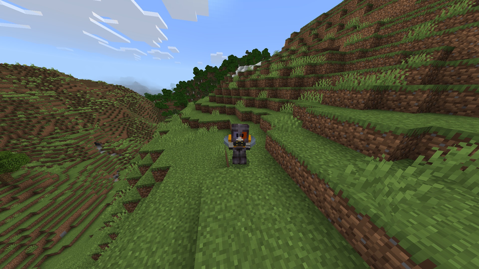 Hide All Armor (Except Elytra) — screenshot 4