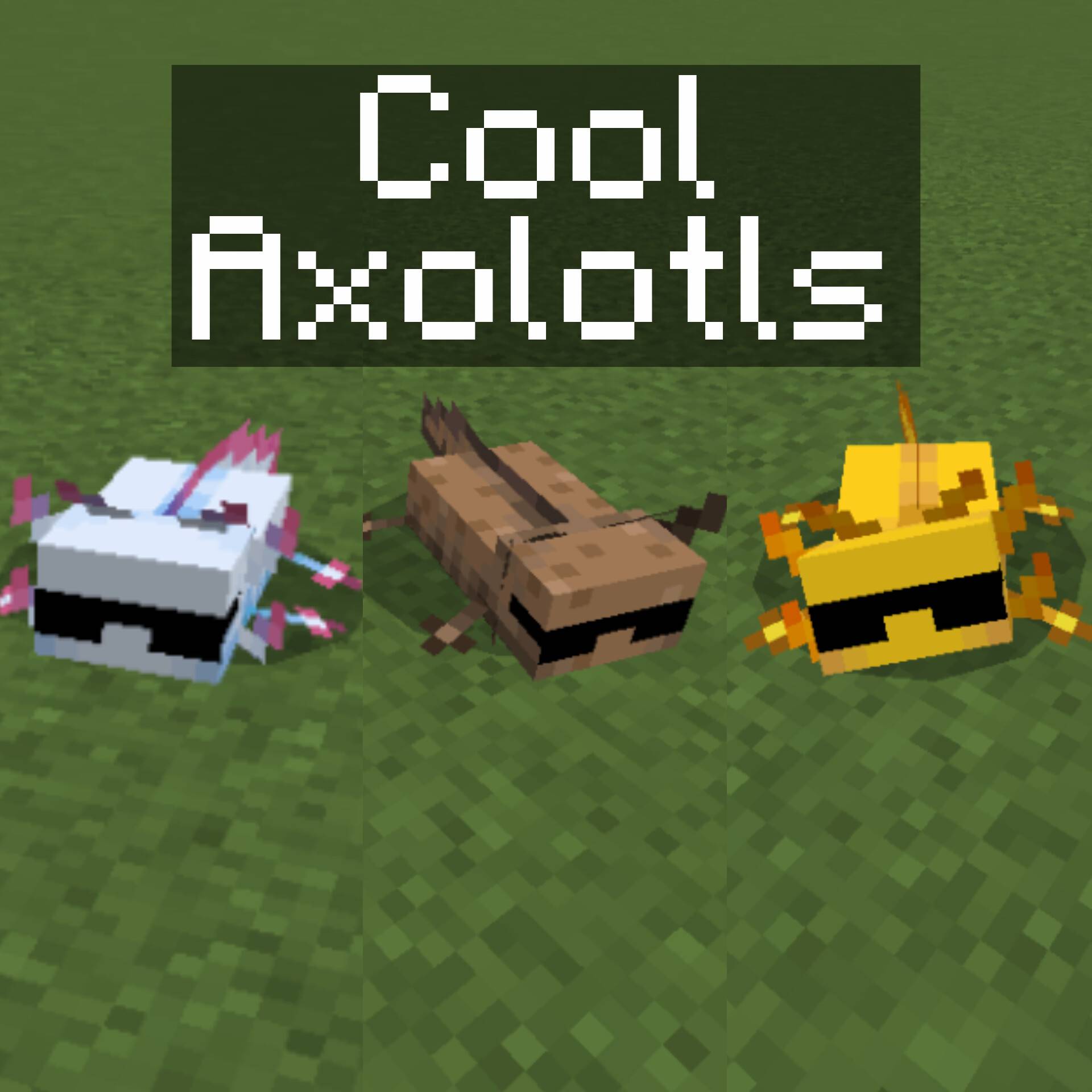 Cool Axolotls — screenshot 5