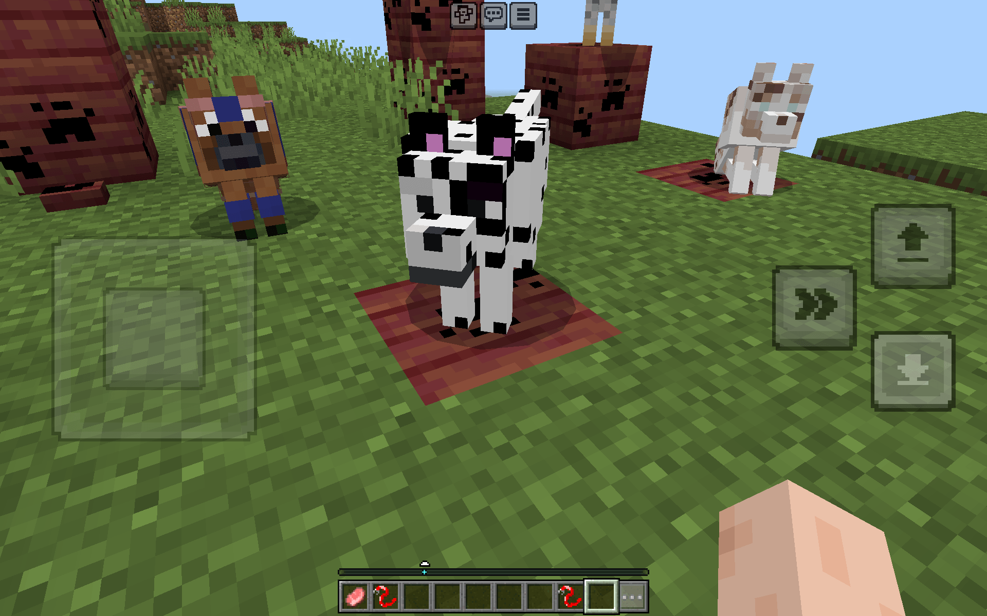 Dogo paws — screenshot 2