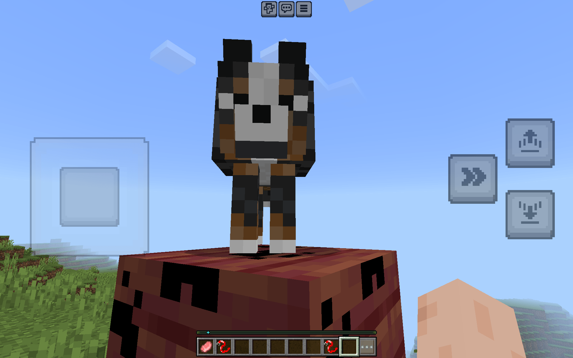 Dogo paws — screenshot 8