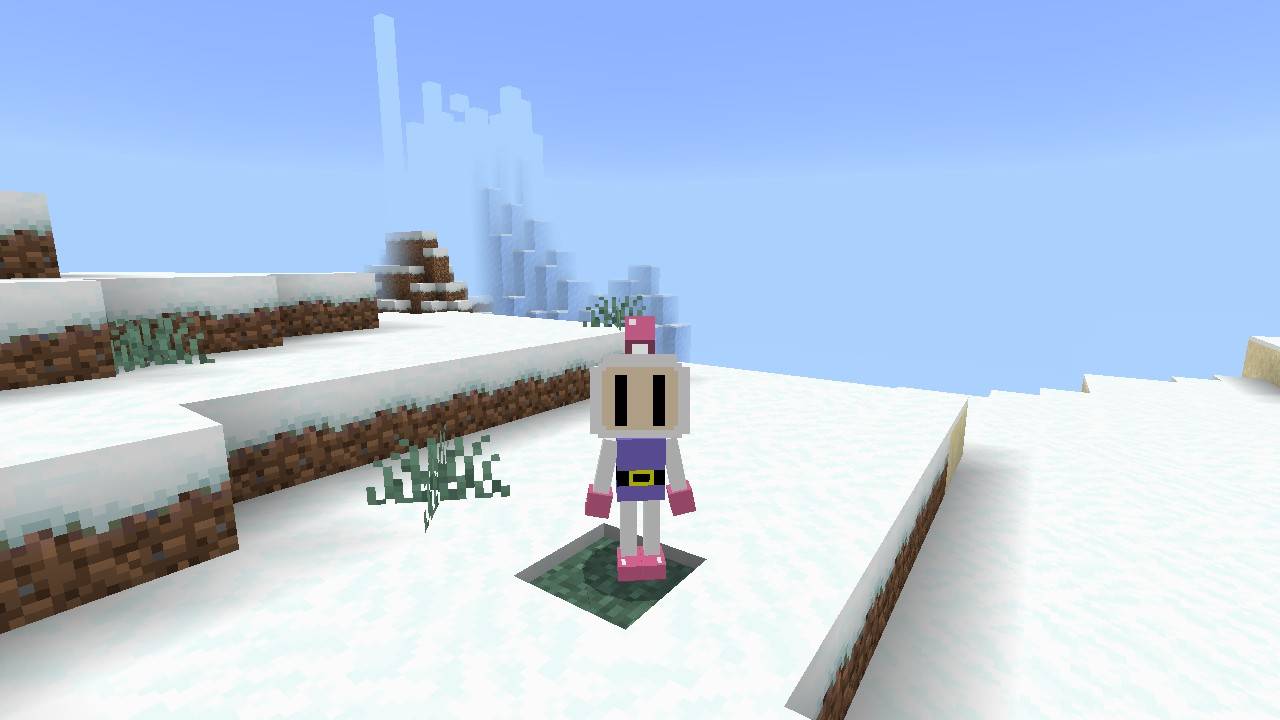 Bomberman 4d Skin — screenshot 1