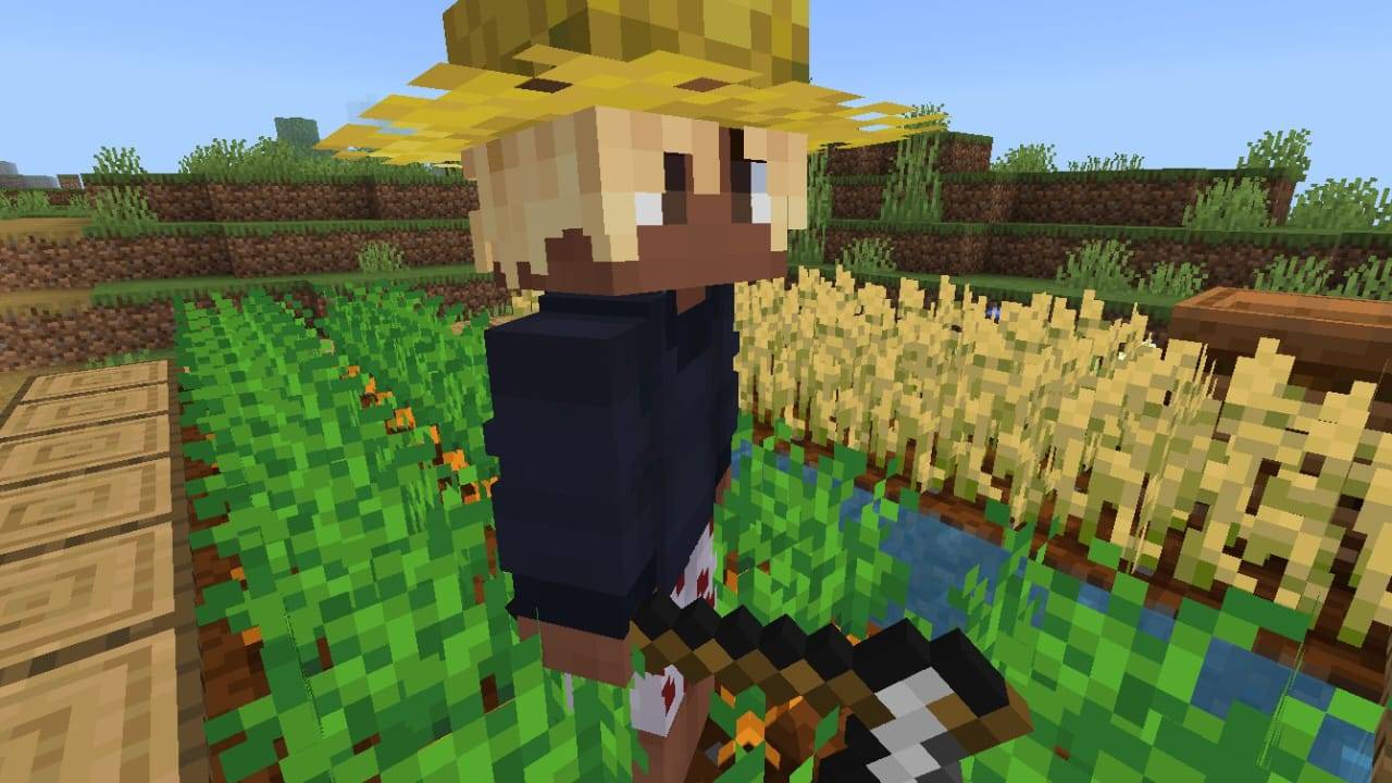Straw Hat — screenshot 2