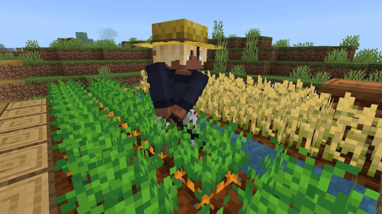 Straw Hat — screenshot 3
