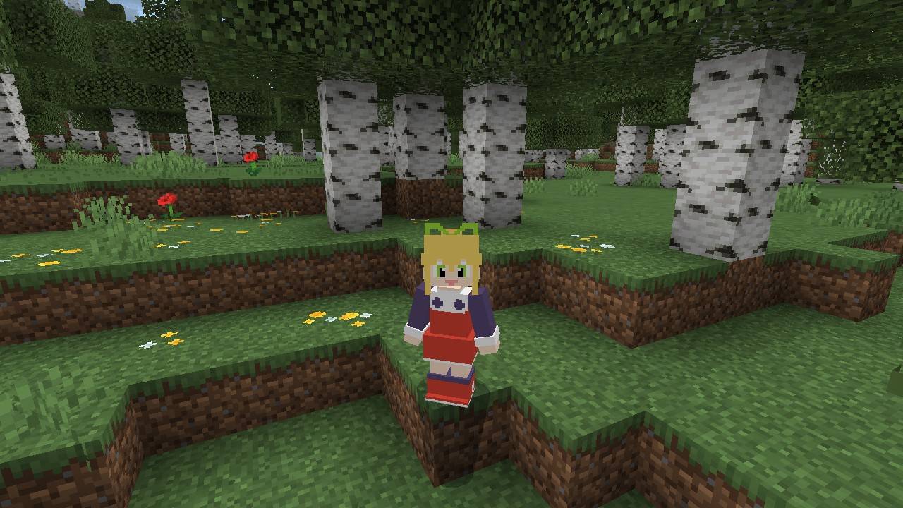 Roll 4d Skin — screenshot 1