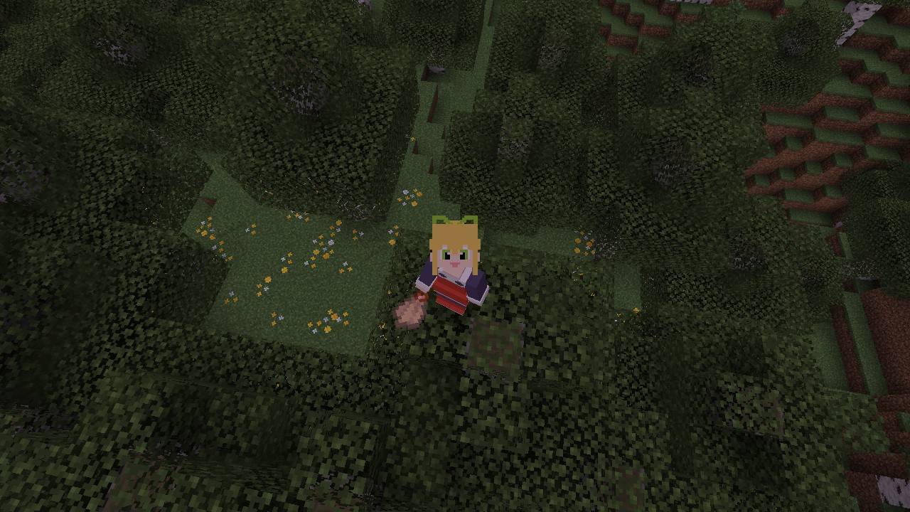 Roll 4d Skin — screenshot 3