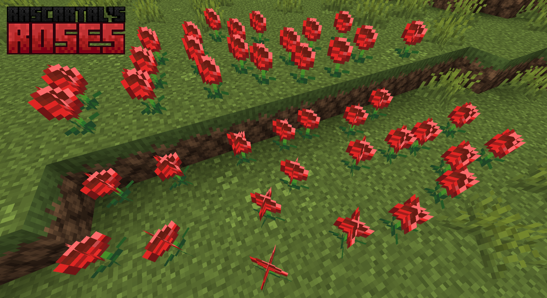 Rascartal's Roses — screenshot 2