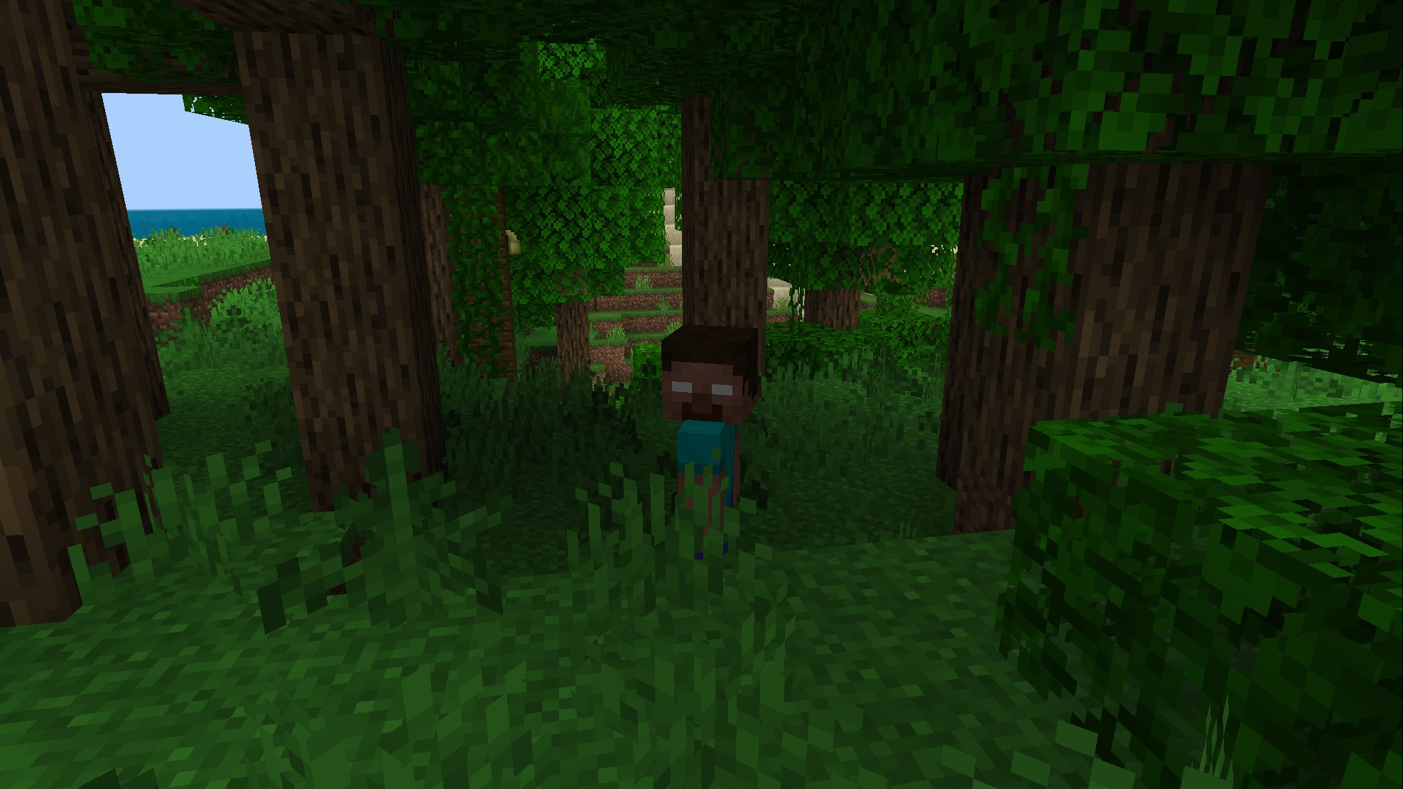 Herobrine Over Warden — screenshot 2