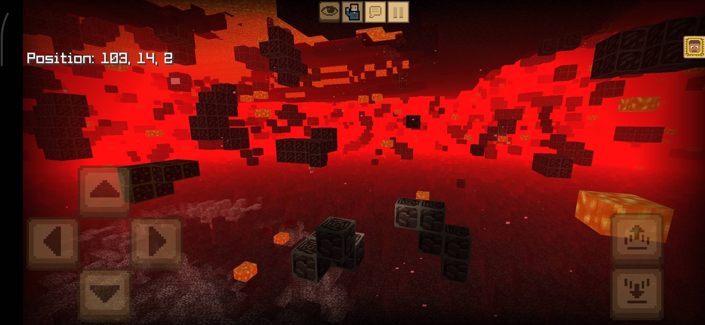 X-Ray in world & nether — screenshot 6