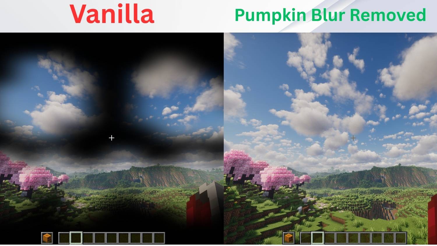 Pumpkin Blur Remover By Legend — screenshot 1