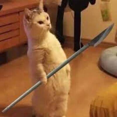 Asian Urban Improvised Spear — screenshot 1