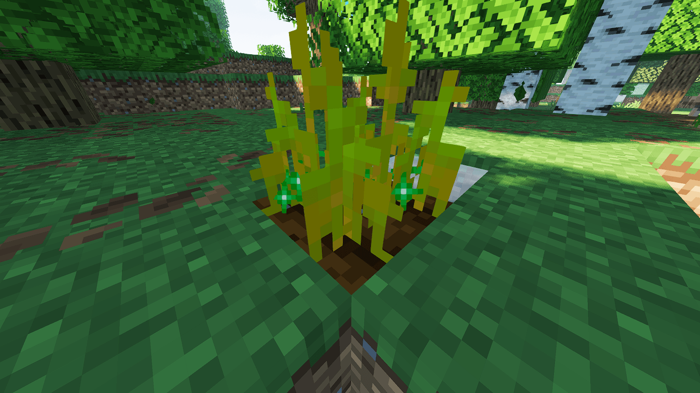 visual crops — screenshot 2