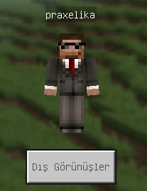 Dressing Room to Skins (Supports Every Language) — screenshot 4