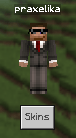 Dressing Room to Skins (Supports Every Language) — screenshot 5