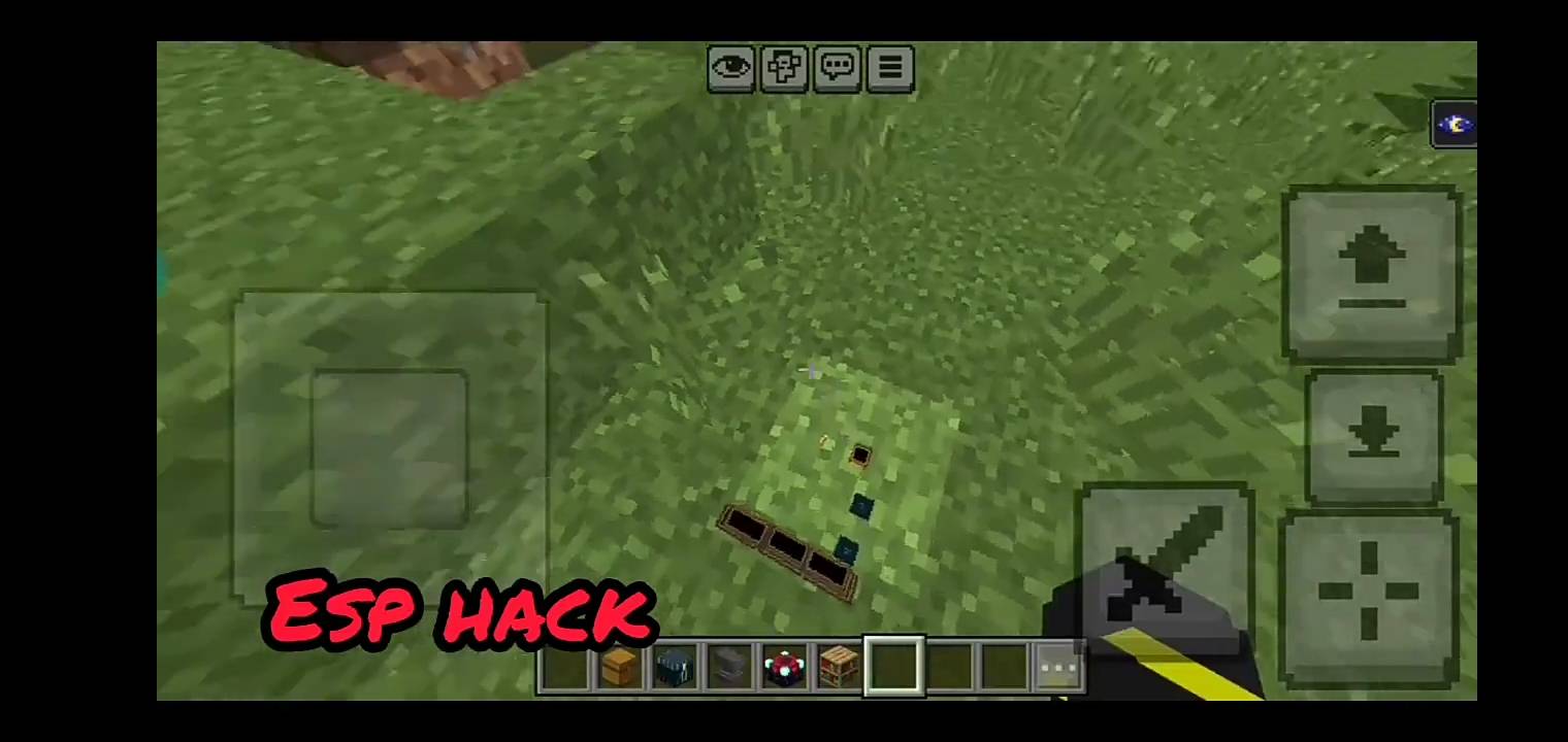 ArgonX | Fps optimizer & Fps booster | Hacking Texture Pack | ESP | Night vision | Hitbox | Night vision + xray — screenshot 3