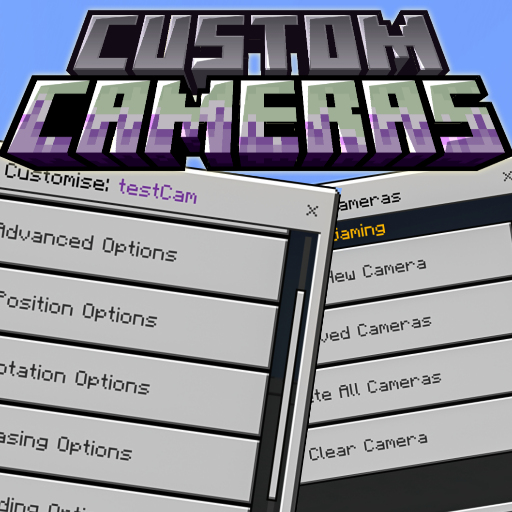 Custom Cameras