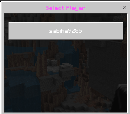 Teleport Tool AhgCraft — screenshot 6