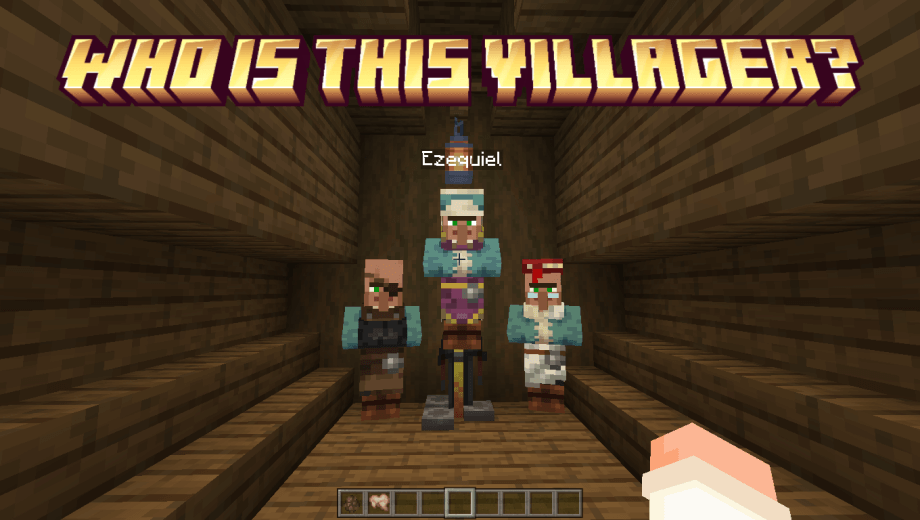 Who's that villager? — screenshot 1