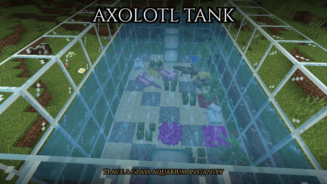 Axolotl Tank — screenshot 2